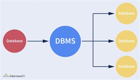 dbm database management|database management dbms systems quizlet.